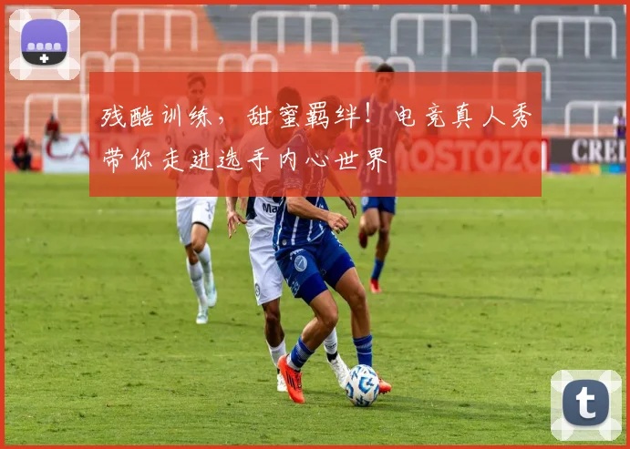残酷训练，甜蜜羁绊！电竞真人秀带你走进选手内心世界